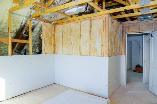 Best Insulation Air Sealing  in Abbeville, LA